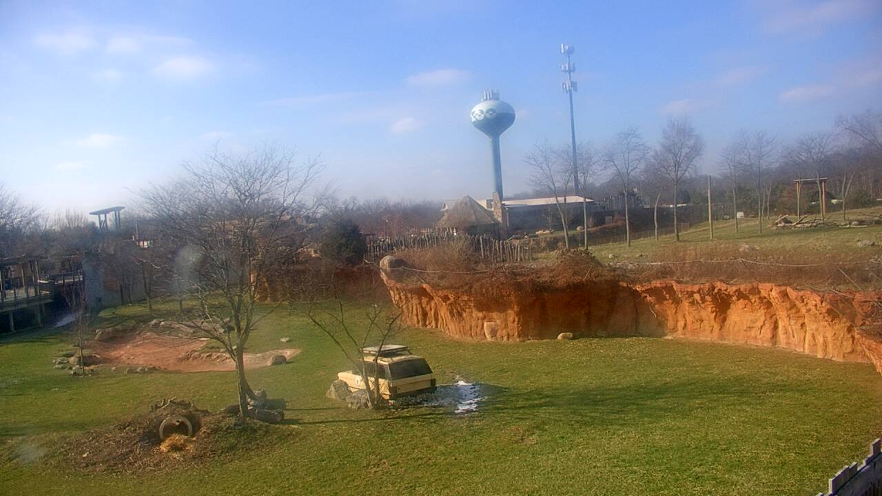 Thumbnail for current weather camera view from Columbus Zoo and Aquarium in Powell, Ohio
