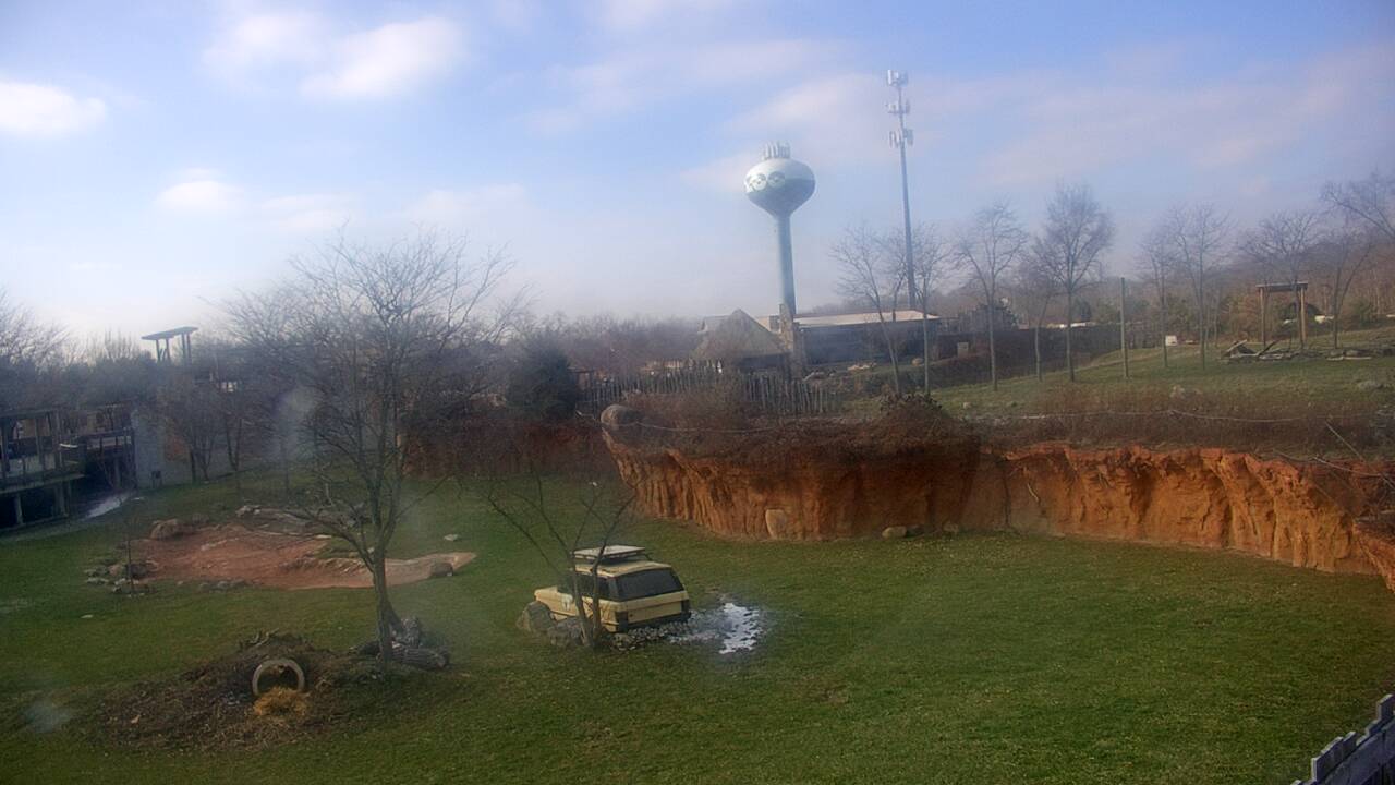 Thumbnail for current weather camera view from Columbus Zoo and Aquarium in Powell, Ohio