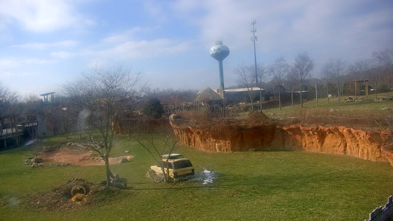 Thumbnail for current weather camera view from Columbus Zoo and Aquarium in Powell, Ohio