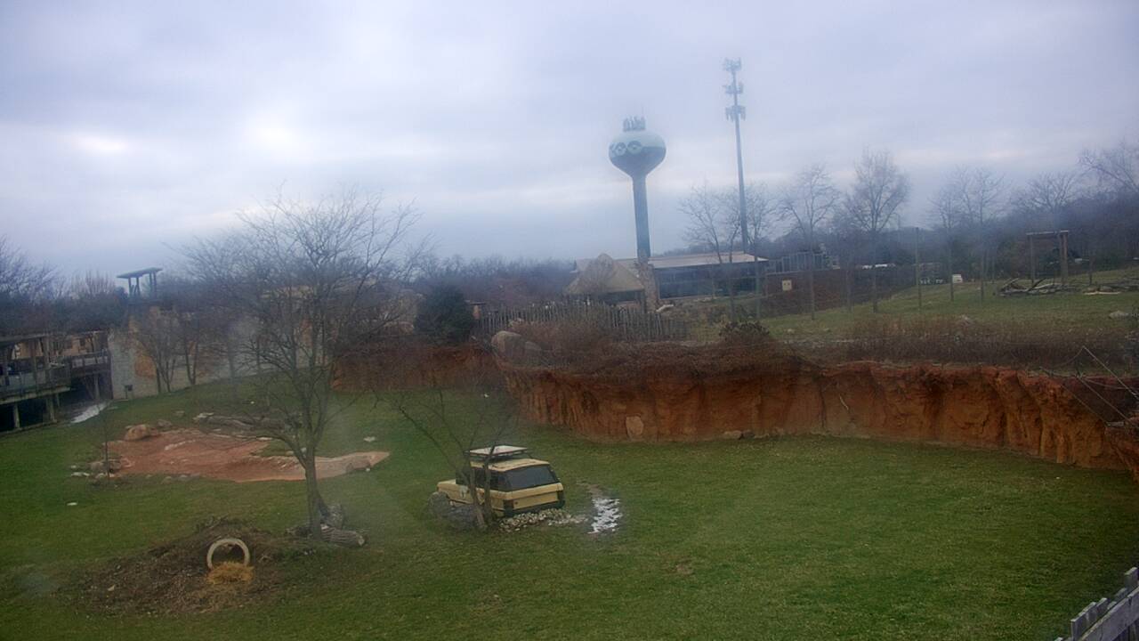 Thumbnail for current weather camera view from Columbus Zoo and Aquarium in Powell, Ohio