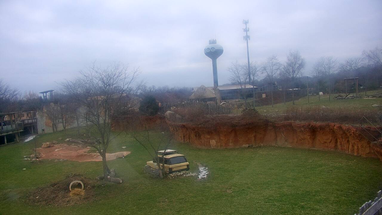 Thumbnail for current weather camera view from Columbus Zoo and Aquarium in Powell, Ohio