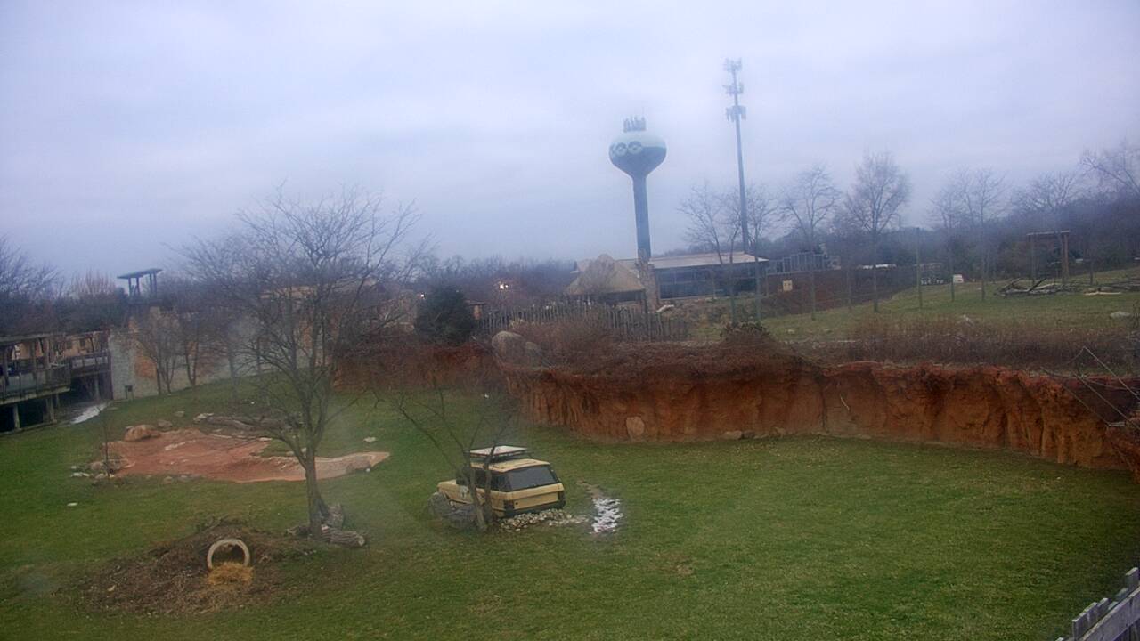 Thumbnail for current weather camera view from Columbus Zoo and Aquarium in Powell, Ohio