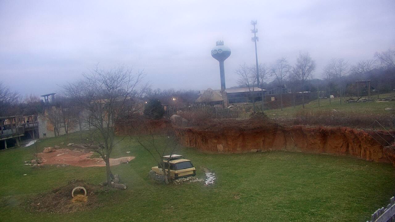 Thumbnail for current weather camera view from Columbus Zoo and Aquarium in Powell, Ohio