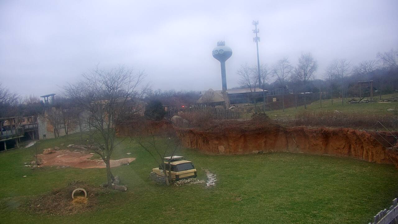 Thumbnail for current weather camera view from Columbus Zoo and Aquarium in Powell, Ohio