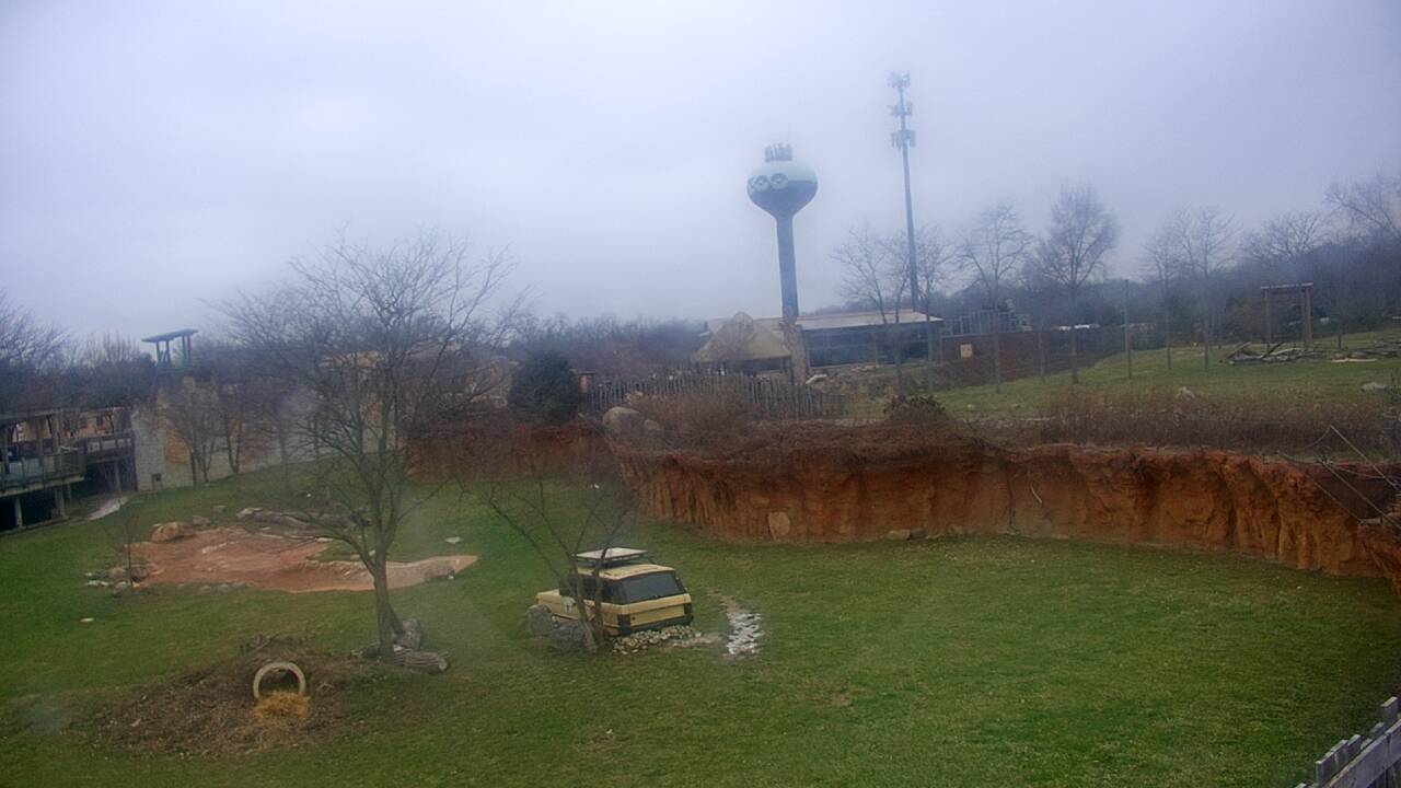 Thumbnail for current weather camera view from Columbus Zoo and Aquarium in Powell, Ohio