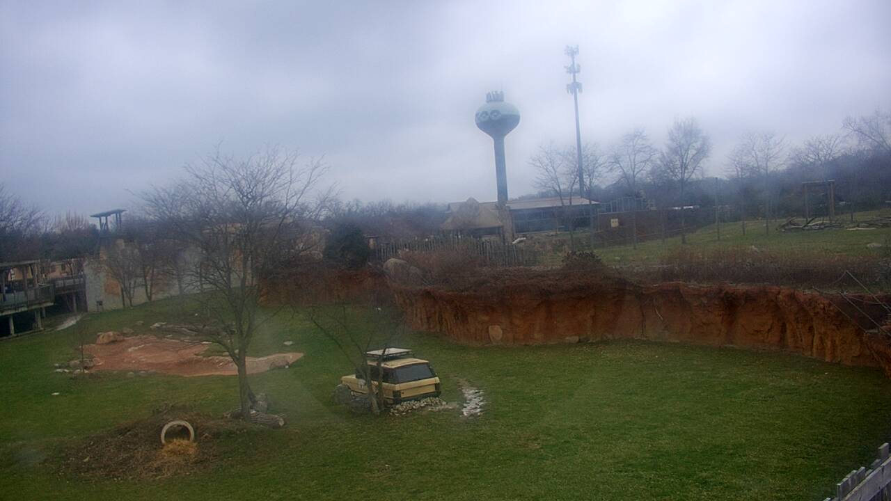 Thumbnail for current weather camera view from Columbus Zoo and Aquarium in Powell, Ohio