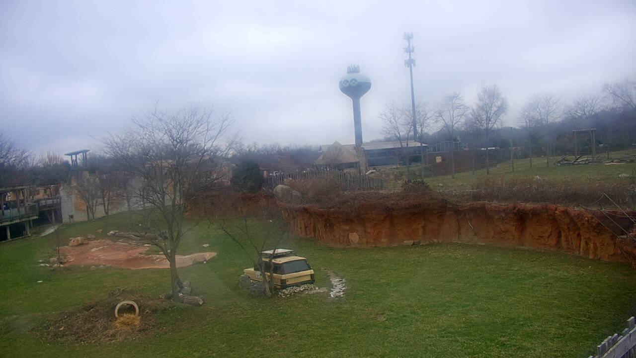 Thumbnail for current weather camera view from Columbus Zoo and Aquarium in Powell, Ohio