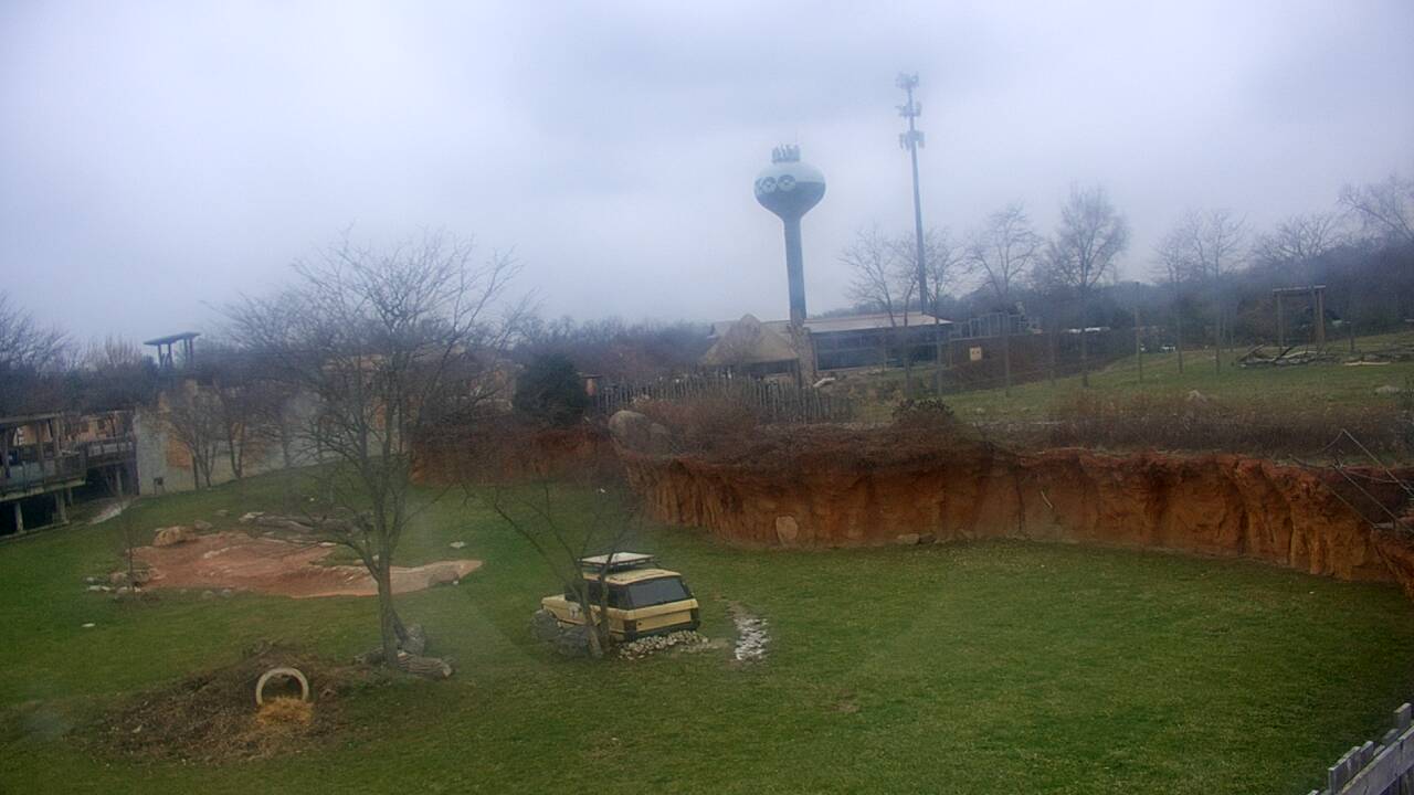 Thumbnail for current weather camera view from Columbus Zoo and Aquarium in Powell, Ohio