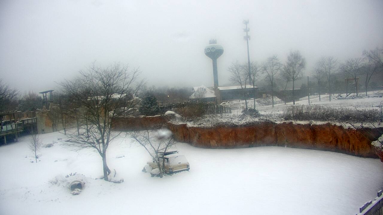 Thumbnail for current weather camera view from Columbus Zoo and Aquarium in Powell, Ohio