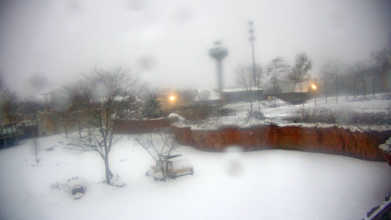 Thumbnail for current weather camera view from Columbus Zoo and Aquarium in Powell, Ohio