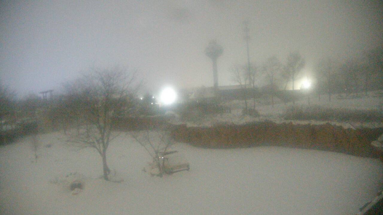 Thumbnail for current weather camera view from Columbus Zoo and Aquarium in Powell, Ohio