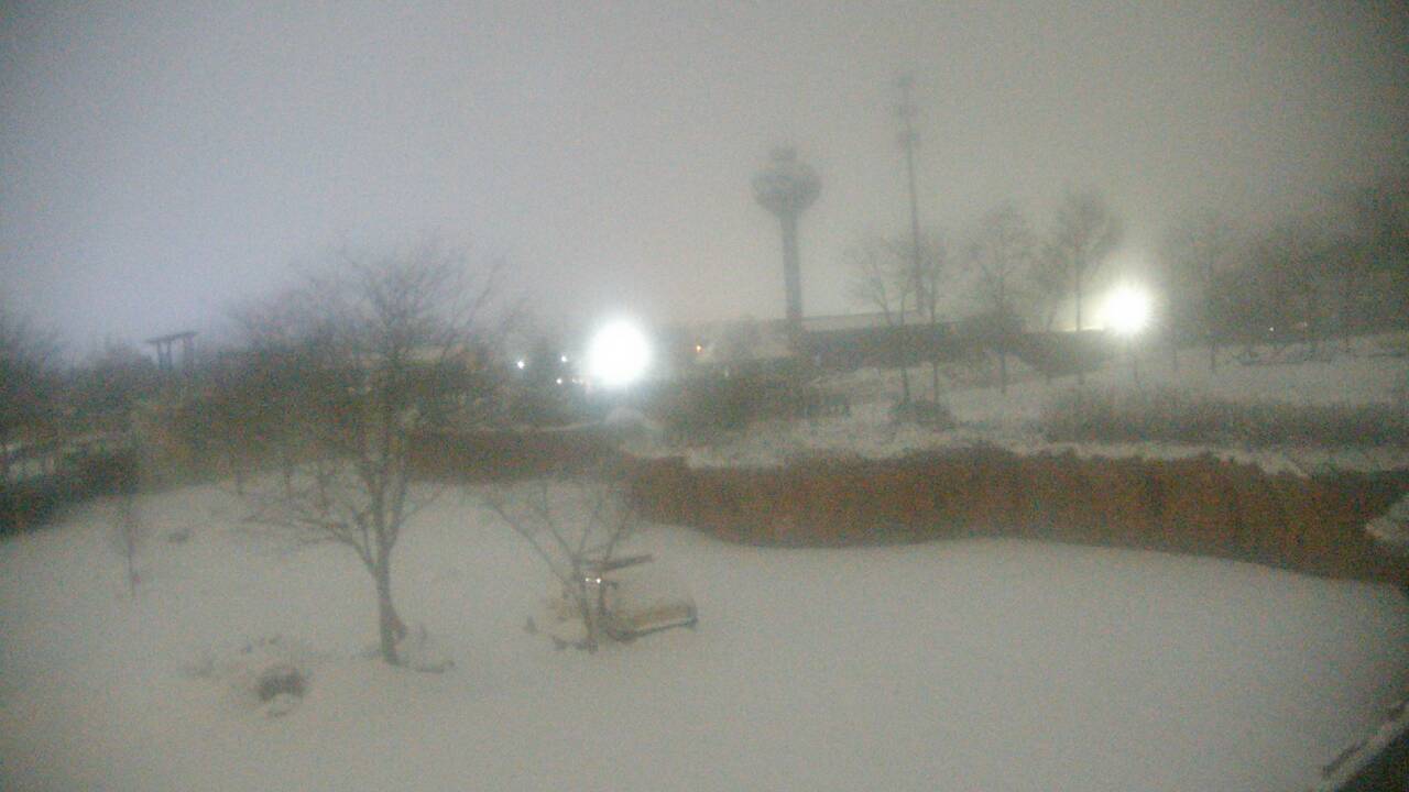 Thumbnail for current weather camera view from Columbus Zoo and Aquarium in Powell, Ohio