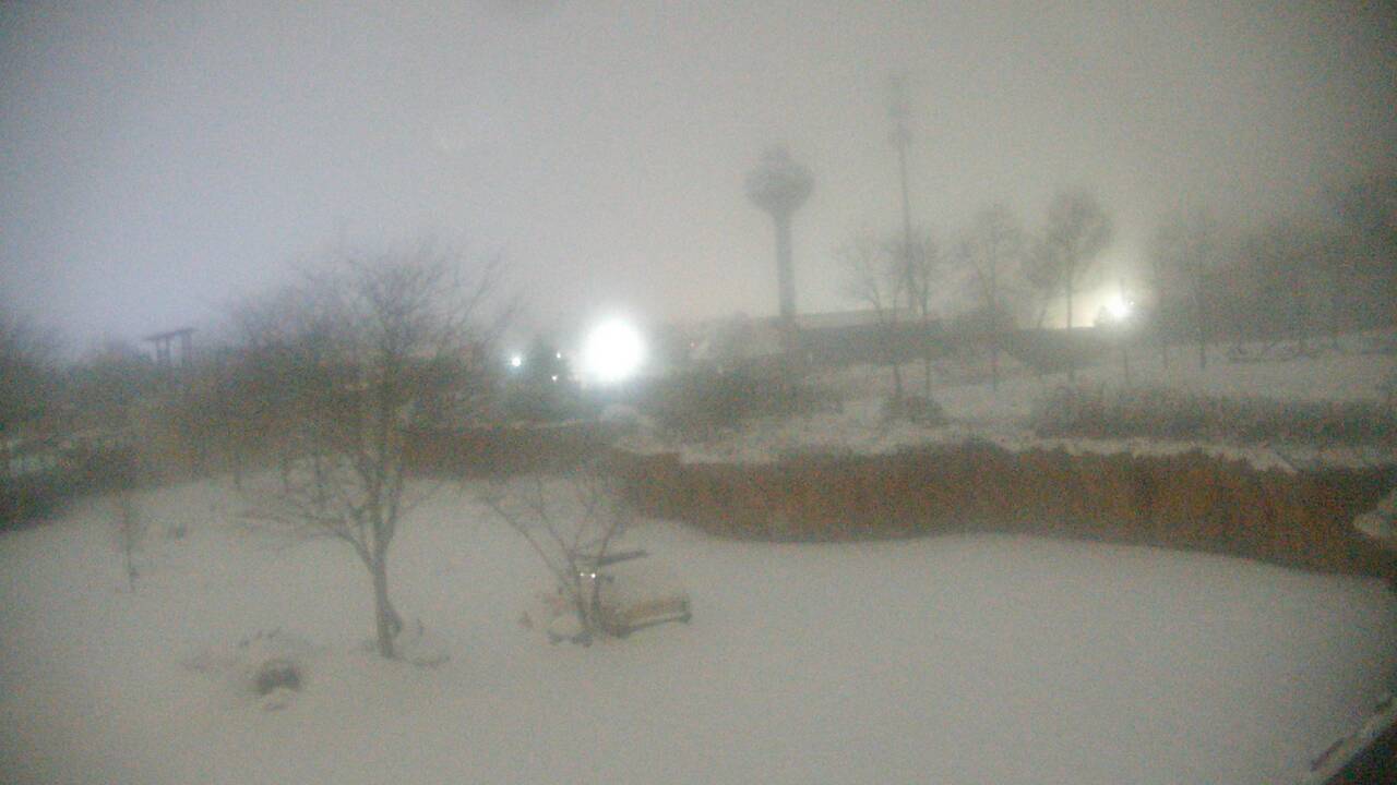 Thumbnail for current weather camera view from Columbus Zoo and Aquarium in Powell, Ohio