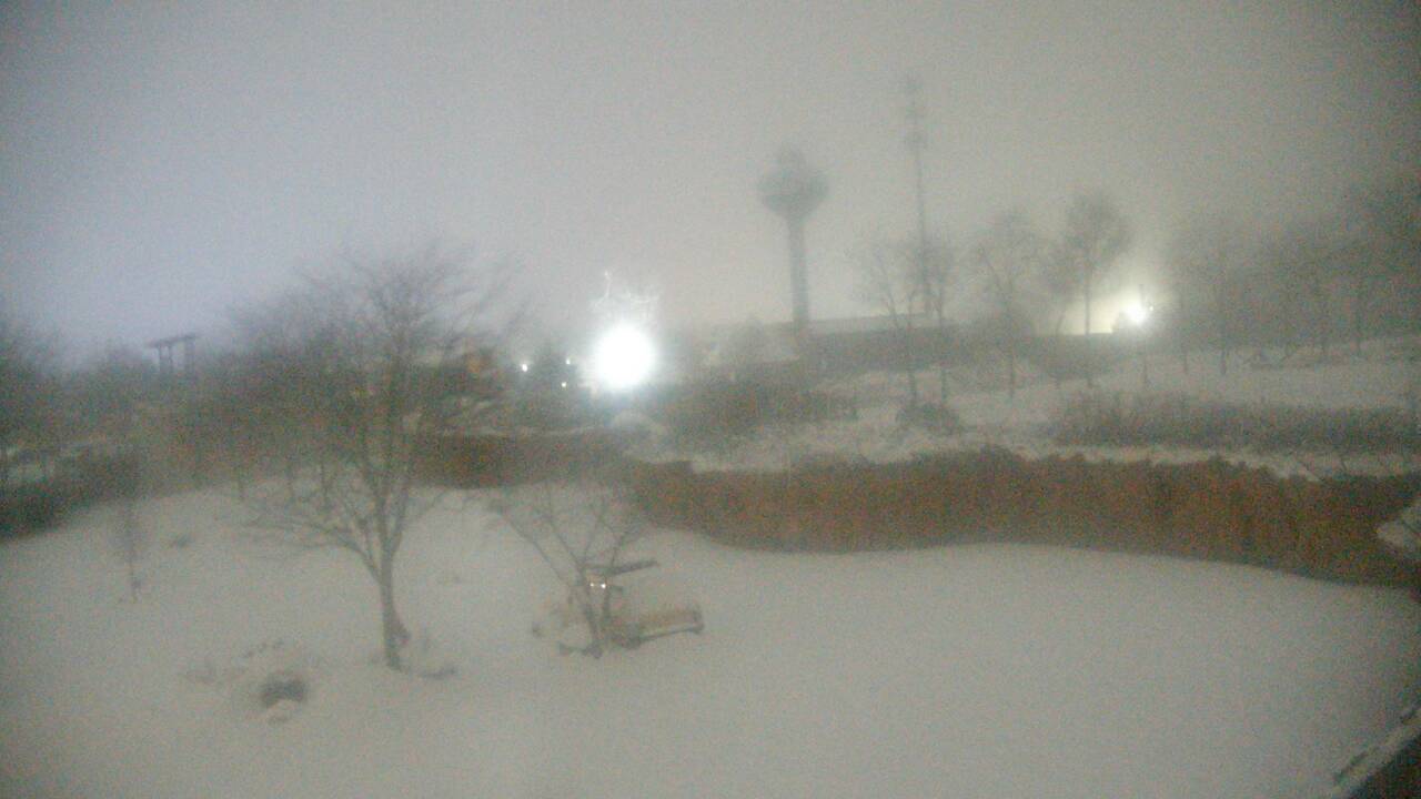 Thumbnail for current weather camera view from Columbus Zoo and Aquarium in Powell, Ohio