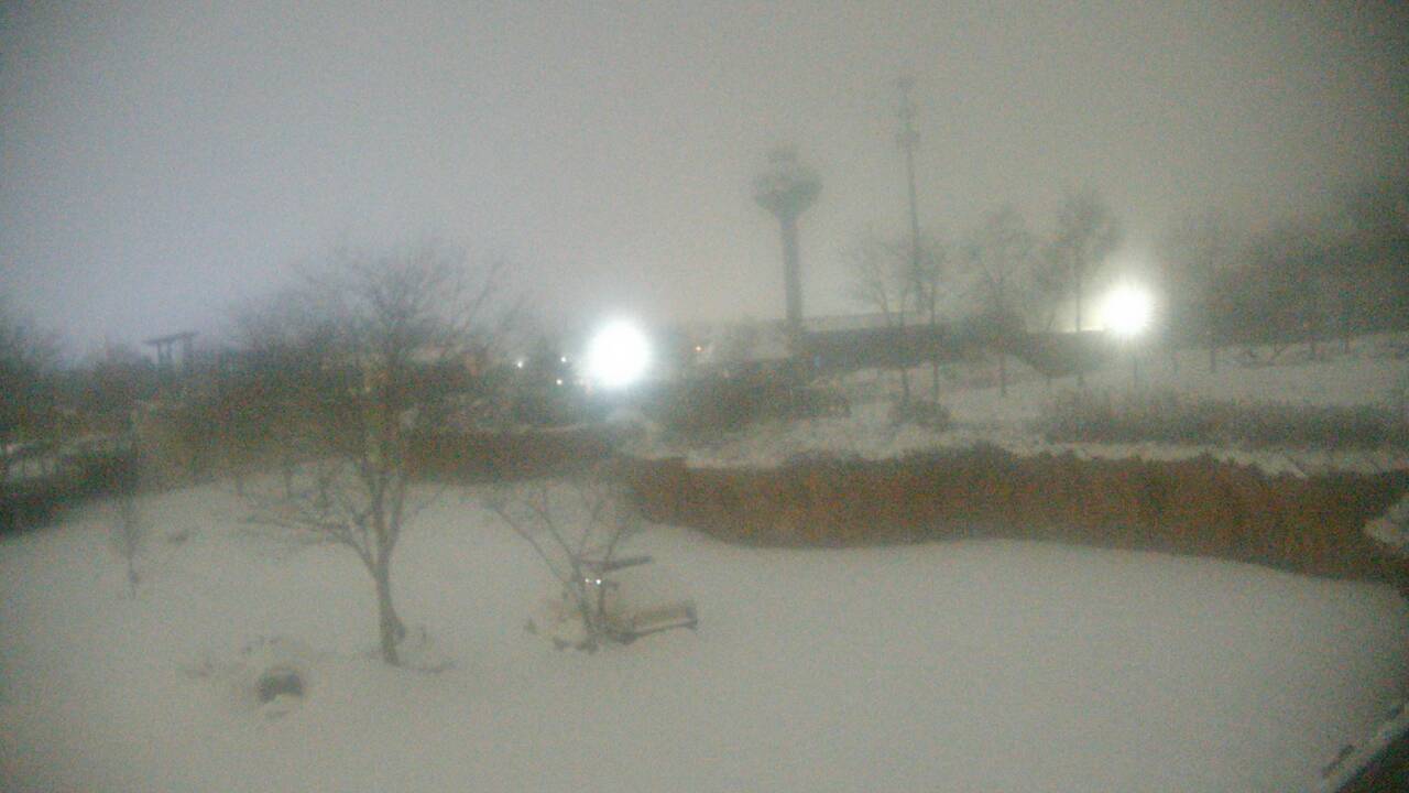 Thumbnail for current weather camera view from Columbus Zoo and Aquarium in Powell, Ohio