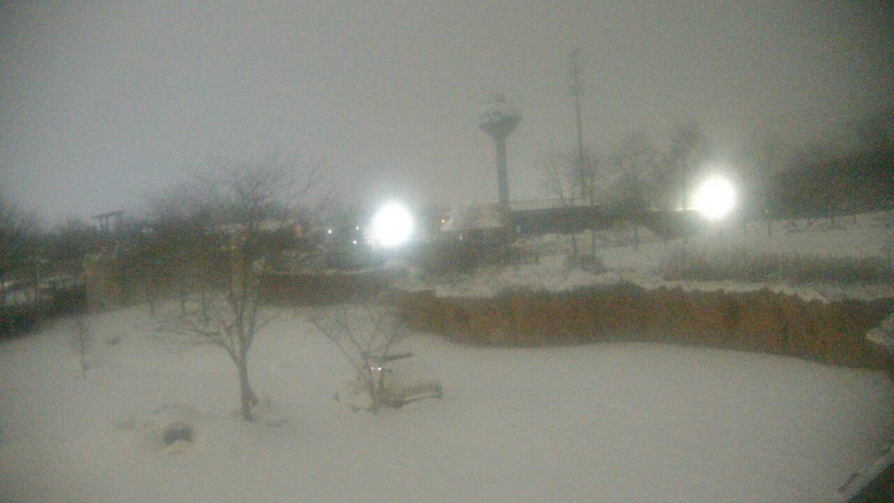 Thumbnail for current weather camera view from Columbus Zoo and Aquarium in Powell, Ohio