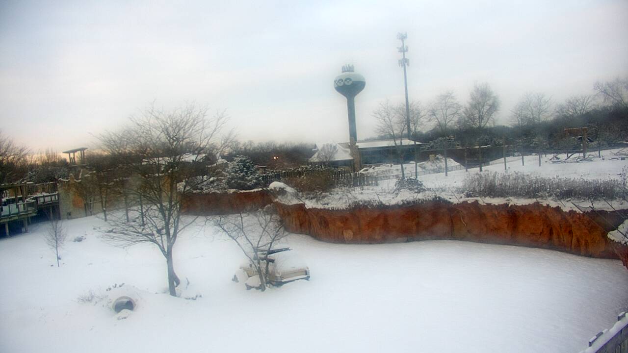 Thumbnail for current weather camera view from Columbus Zoo and Aquarium in Powell, Ohio