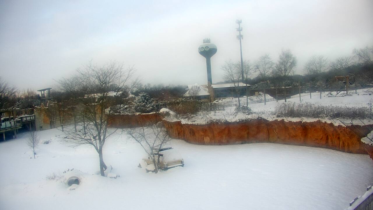 Thumbnail for current weather camera view from Columbus Zoo and Aquarium in Powell, Ohio