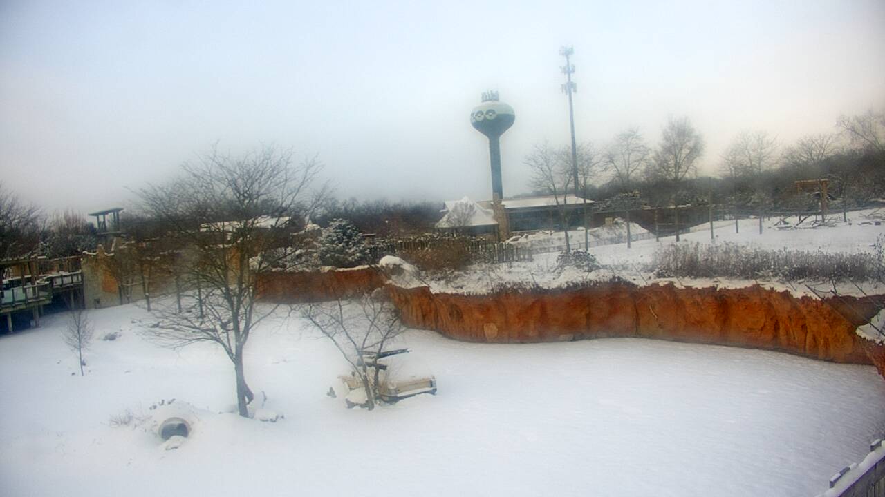 Thumbnail for current weather camera view from Columbus Zoo and Aquarium in Powell, Ohio