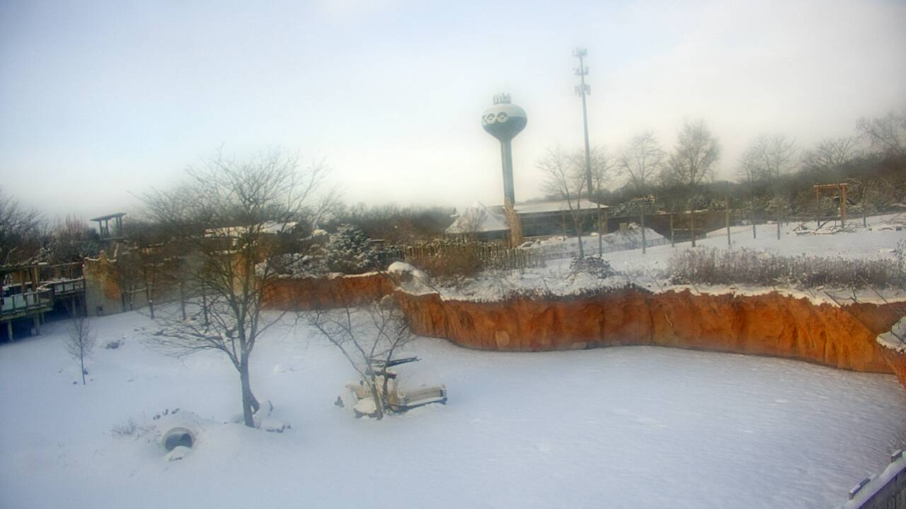 Thumbnail for current weather camera view from Columbus Zoo and Aquarium in Powell, Ohio