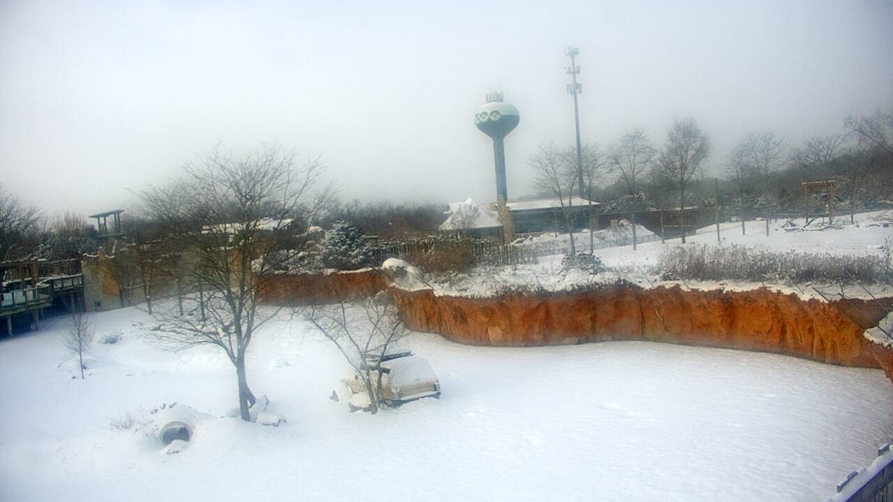 Thumbnail for current weather camera view from Columbus Zoo and Aquarium in Powell, Ohio