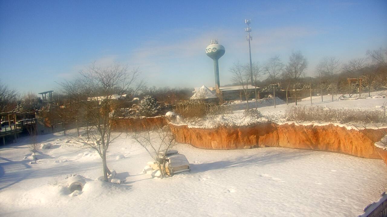 Thumbnail for current weather camera view from Columbus Zoo and Aquarium in Powell, Ohio