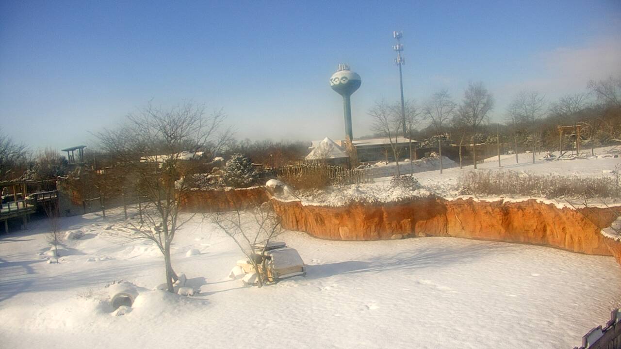 Thumbnail for current weather camera view from Columbus Zoo and Aquarium in Powell, Ohio