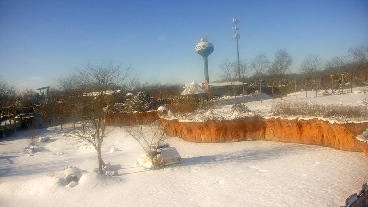 Thumbnail for current weather camera view from Columbus Zoo and Aquarium in Powell, Ohio