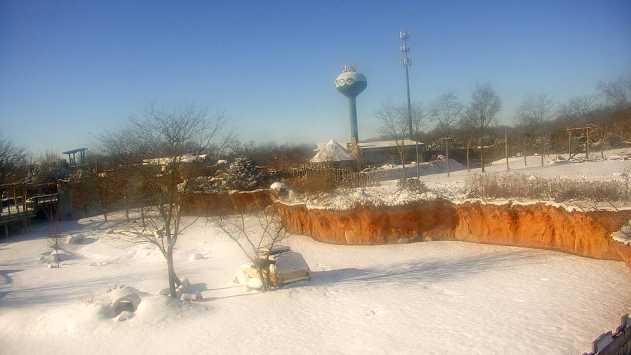Thumbnail for current weather camera view from Columbus Zoo and Aquarium in Powell, Ohio