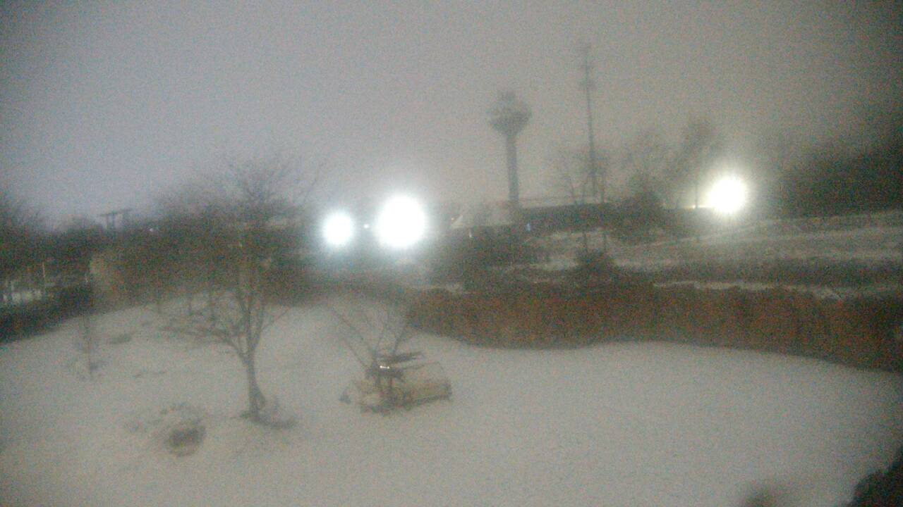 Thumbnail for current weather camera view from Columbus Zoo and Aquarium in Powell, Ohio