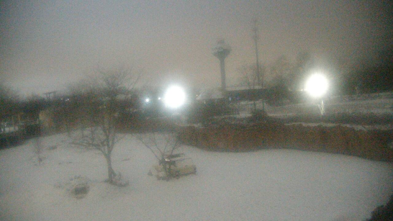 Thumbnail for current weather camera view from Columbus Zoo and Aquarium in Powell, Ohio