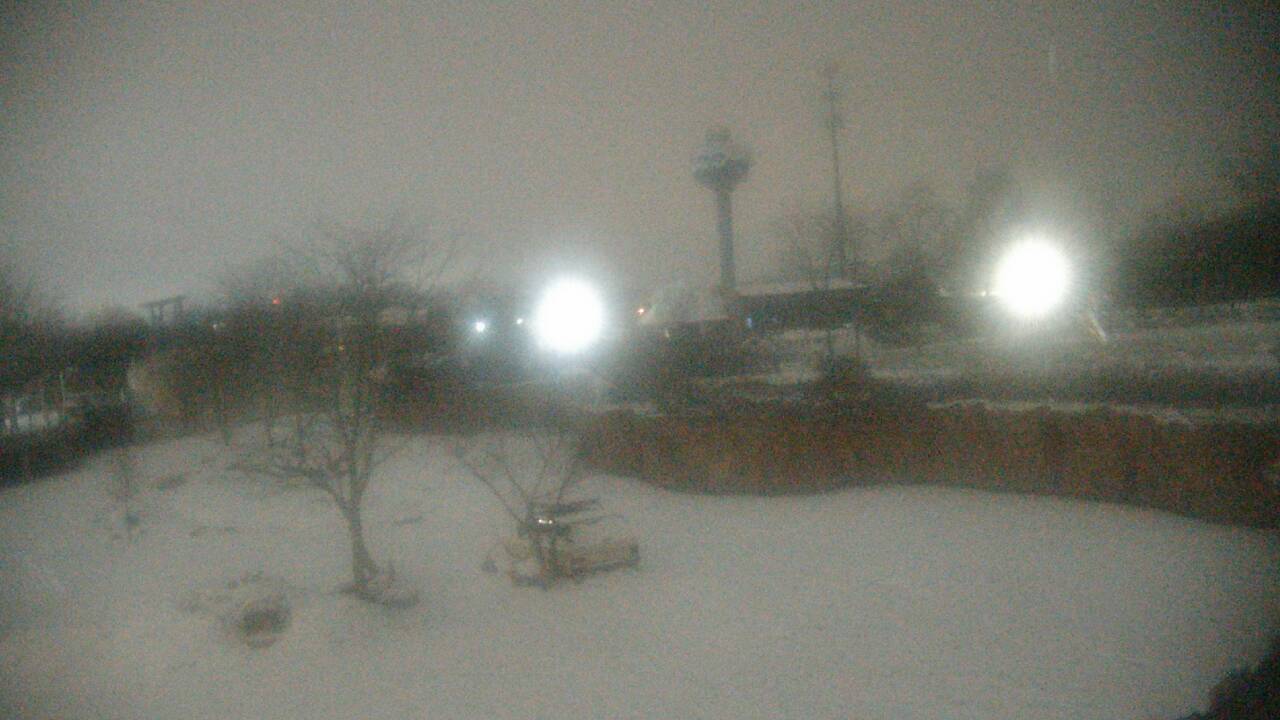 Thumbnail for current weather camera view from Columbus Zoo and Aquarium in Powell, Ohio