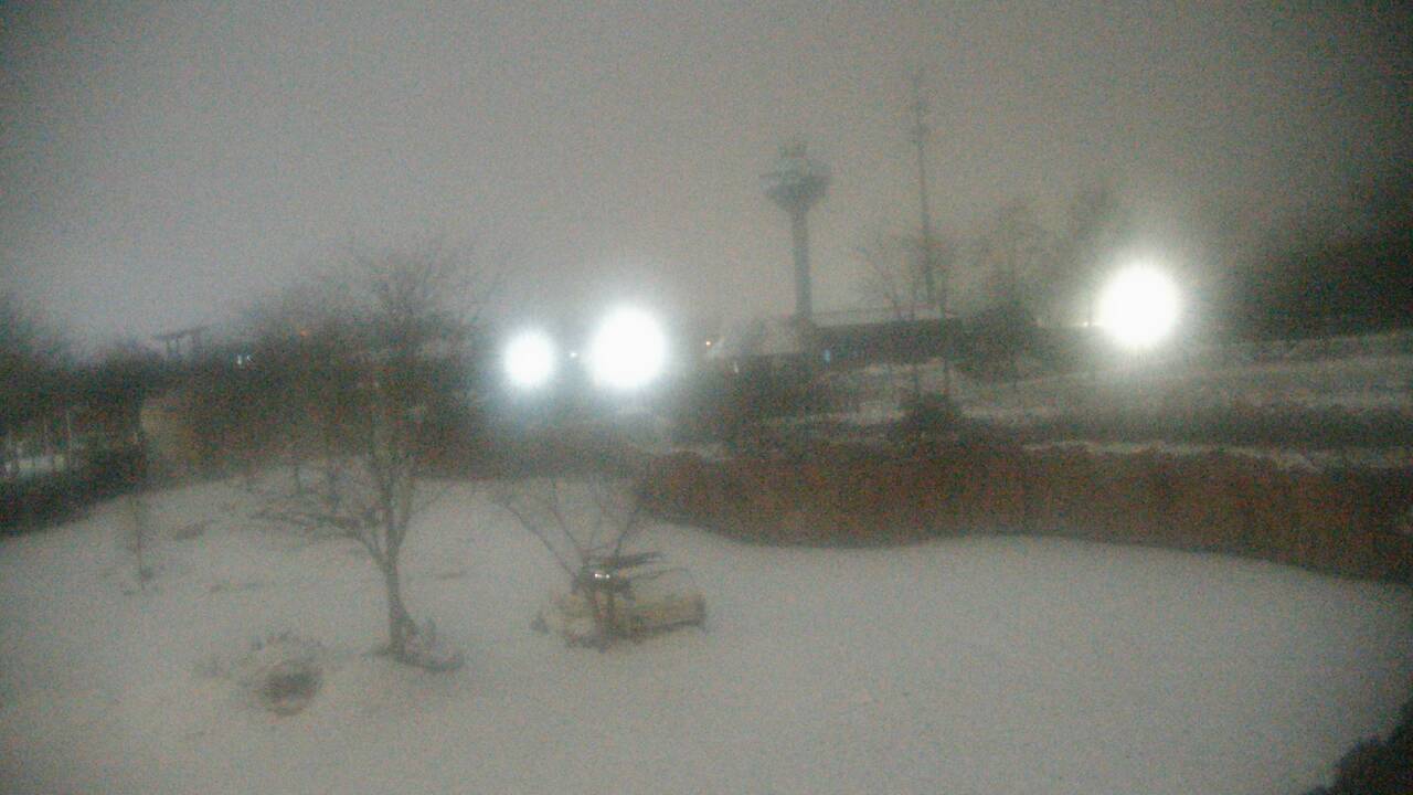 Thumbnail for current weather camera view from Columbus Zoo and Aquarium in Powell, Ohio