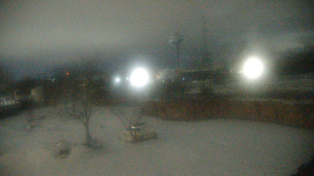 Thumbnail for current weather camera view from Columbus Zoo and Aquarium in Powell, Ohio