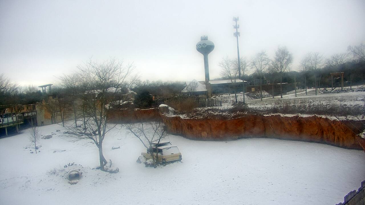 Thumbnail for current weather camera view from Columbus Zoo and Aquarium in Powell, Ohio