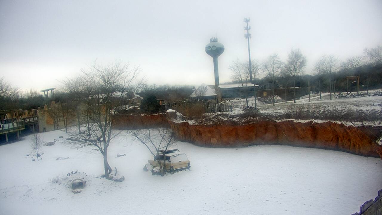 Thumbnail for current weather camera view from Columbus Zoo and Aquarium in Powell, Ohio