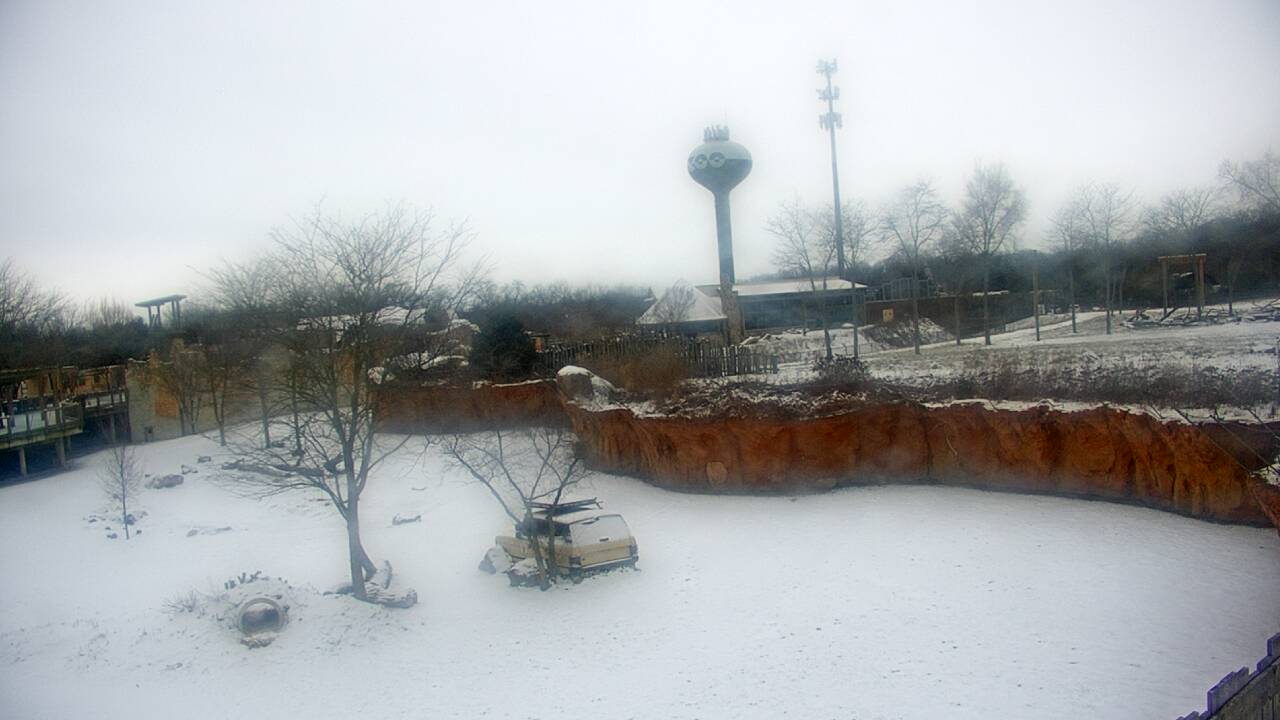 Thumbnail for current weather camera view from Columbus Zoo and Aquarium in Powell, Ohio