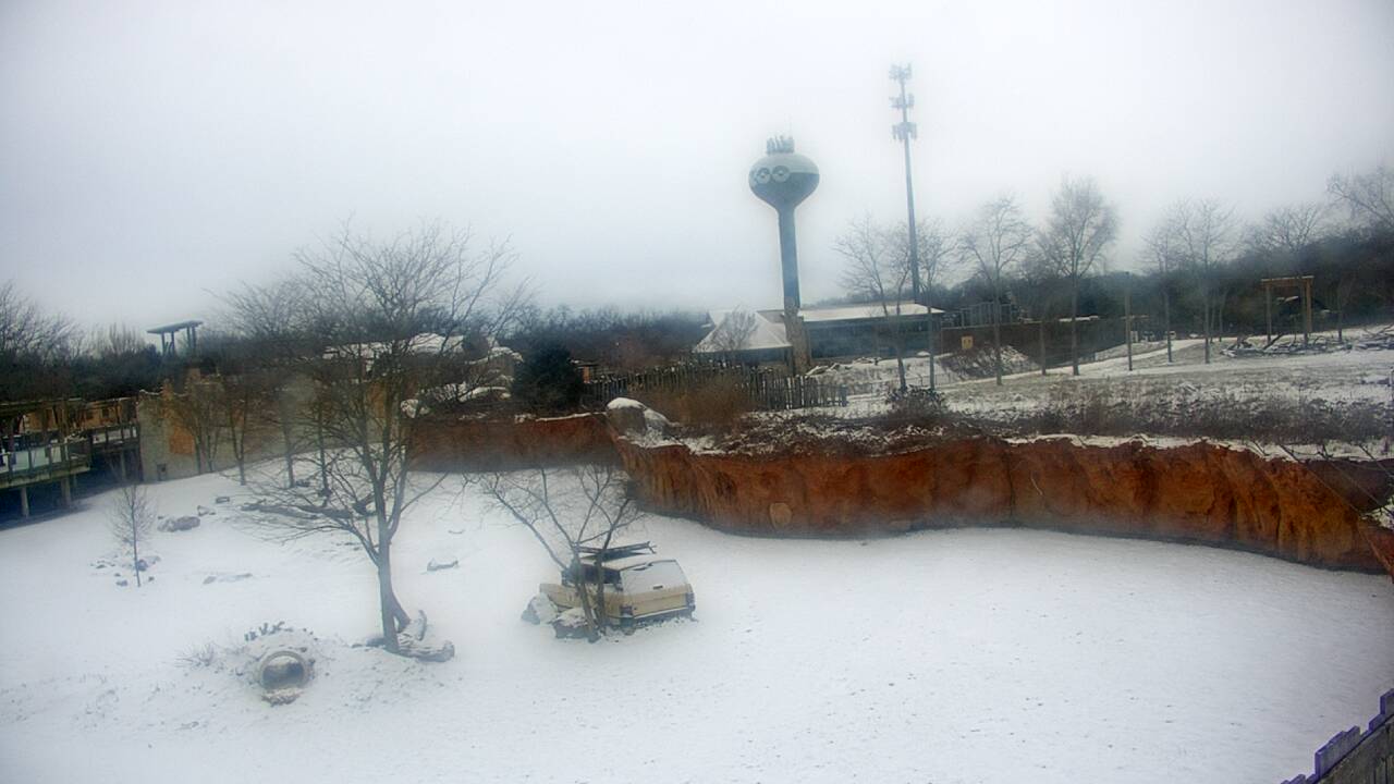 Thumbnail for current weather camera view from Columbus Zoo and Aquarium in Powell, Ohio