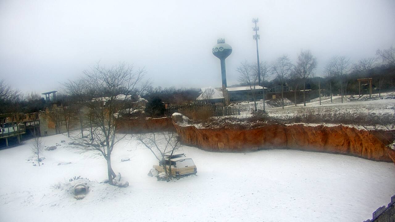 Thumbnail for current weather camera view from Columbus Zoo and Aquarium in Powell, Ohio