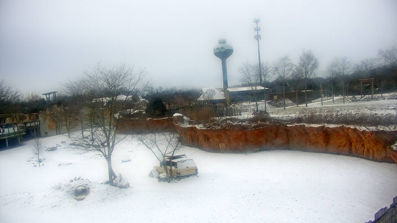 Thumbnail for current weather camera view from Columbus Zoo and Aquarium in Powell, Ohio