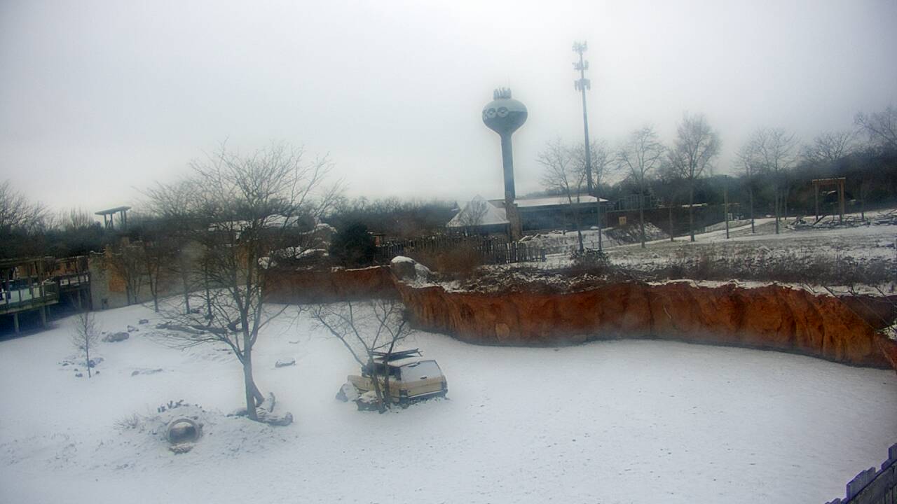 Thumbnail for current weather camera view from Columbus Zoo and Aquarium in Powell, Ohio