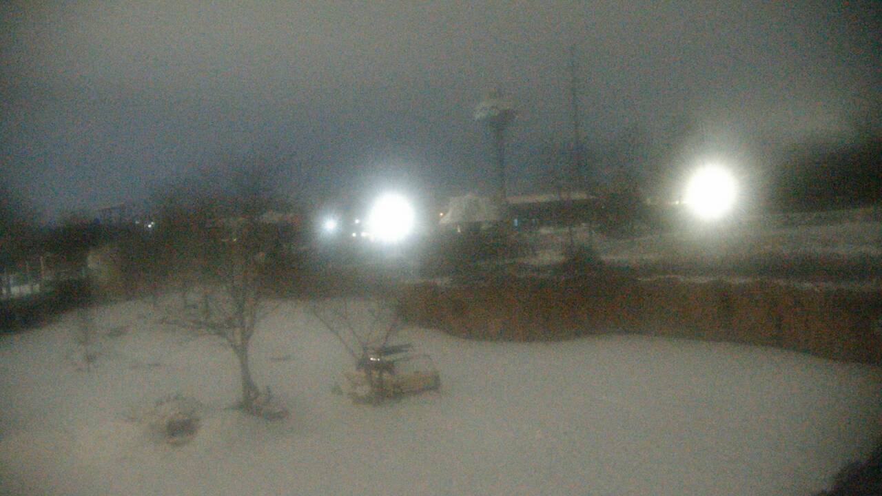 Thumbnail for current weather camera view from Columbus Zoo and Aquarium in Powell, Ohio