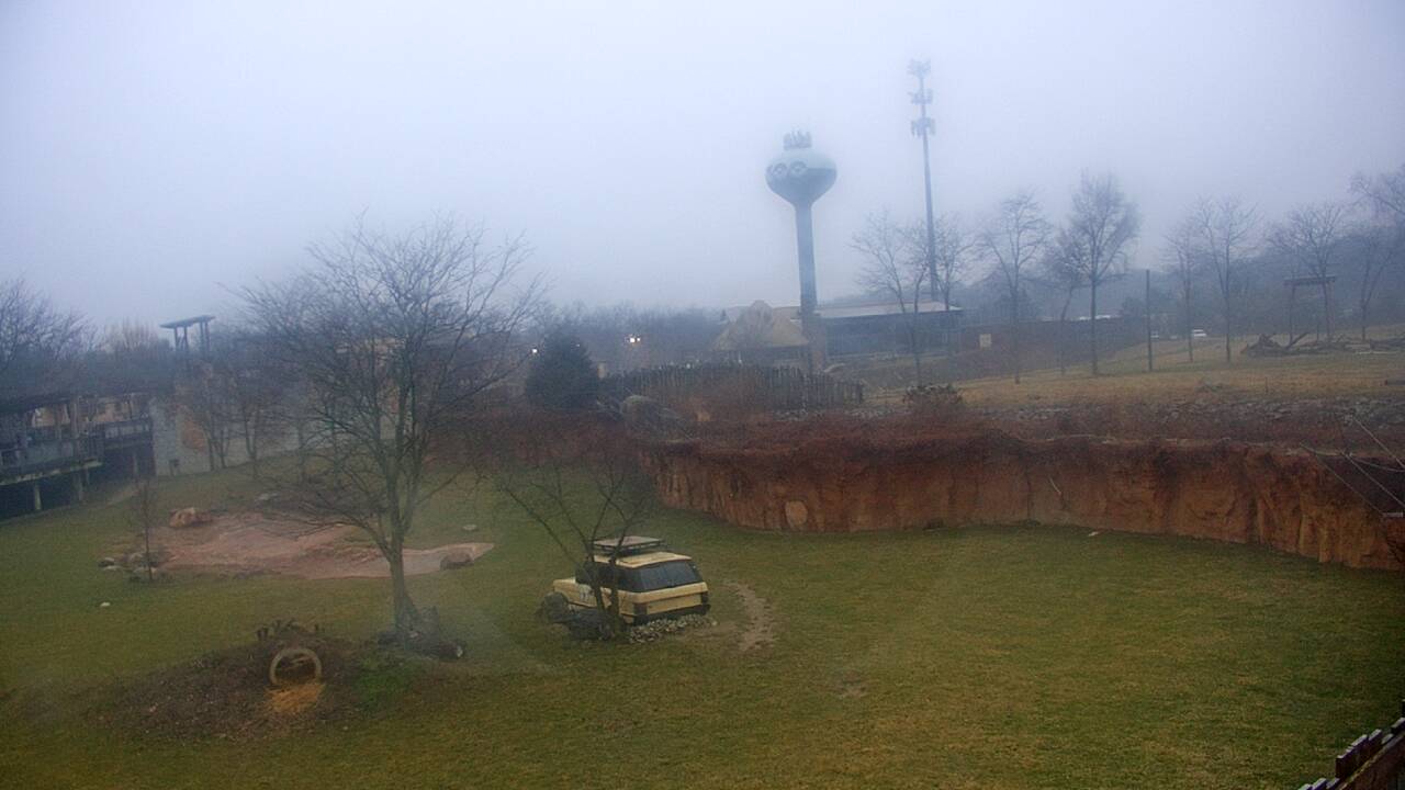 Thumbnail for current weather camera view from Columbus Zoo and Aquarium in Powell, Ohio