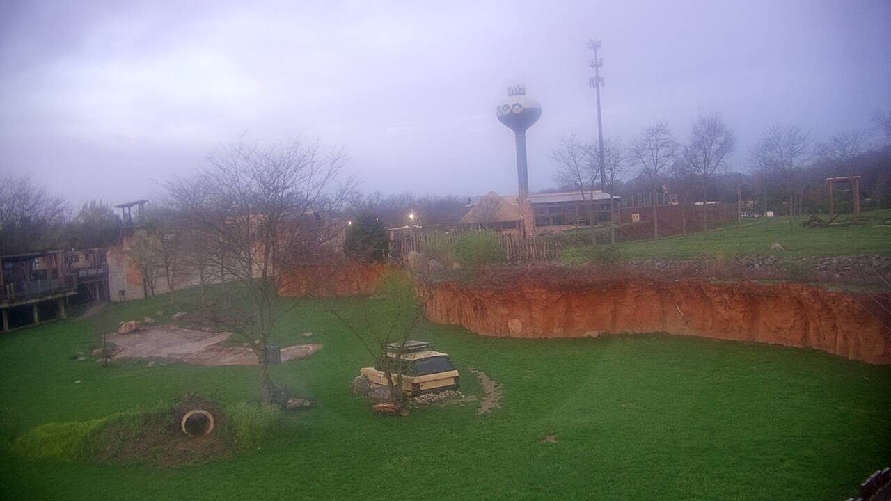 Thumbnail for current weather camera view from Columbus Zoo and Aquarium in Powell, Ohio