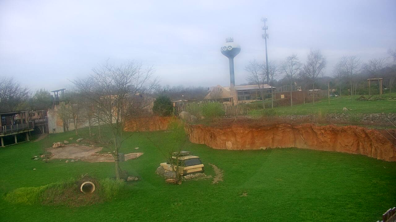 Thumbnail for current weather camera view from Columbus Zoo and Aquarium in Powell, Ohio