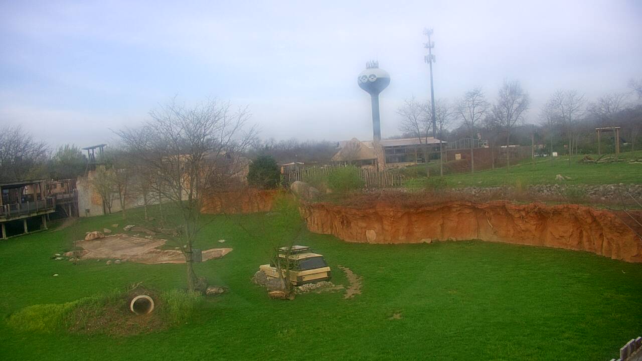 Thumbnail for current weather camera view from Columbus Zoo and Aquarium in Powell, Ohio