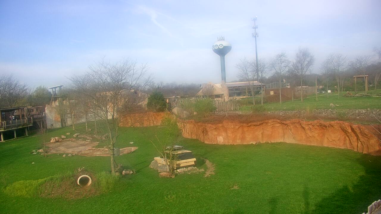 Thumbnail for current weather camera view from Columbus Zoo and Aquarium in Powell, Ohio