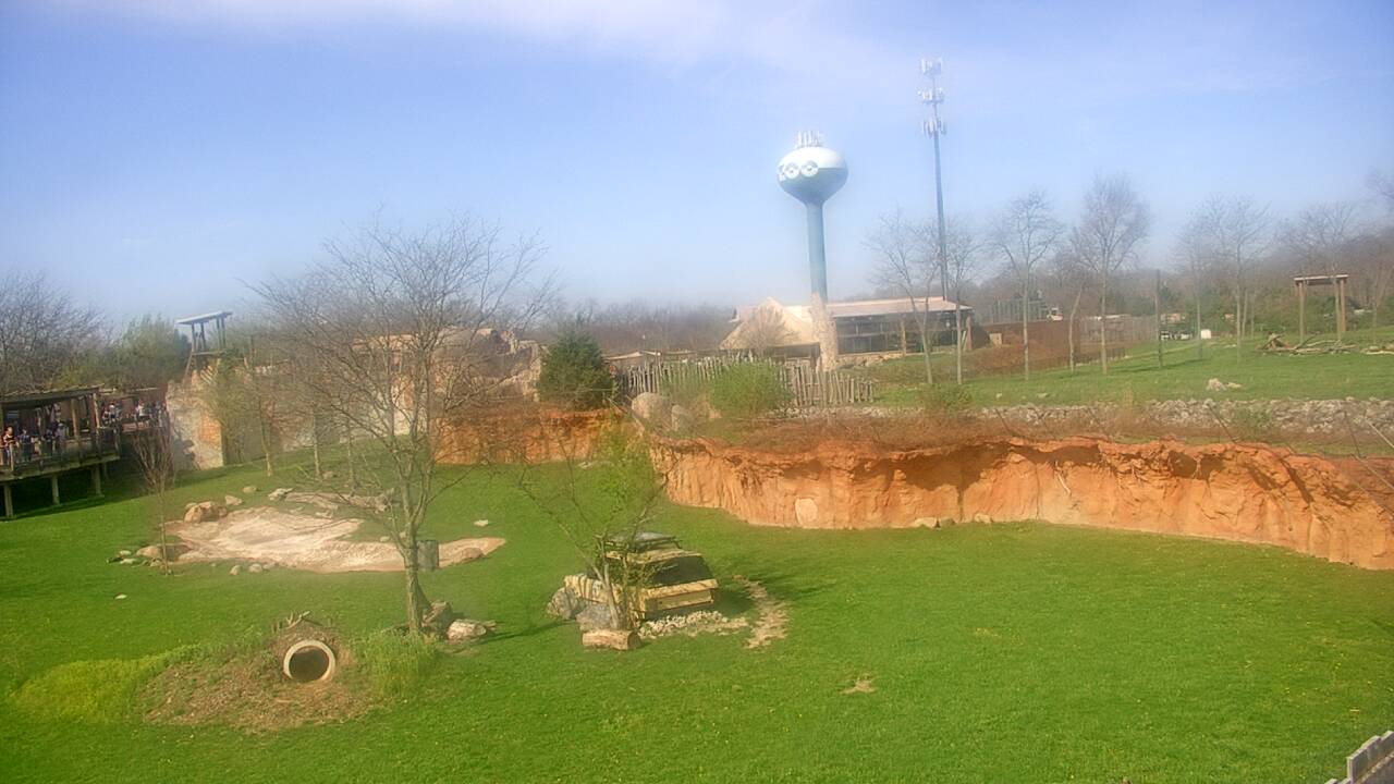 Thumbnail for current weather camera view from Columbus Zoo and Aquarium in Powell, Ohio