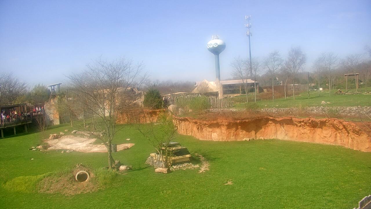 Thumbnail for current weather camera view from Columbus Zoo and Aquarium in Powell, Ohio