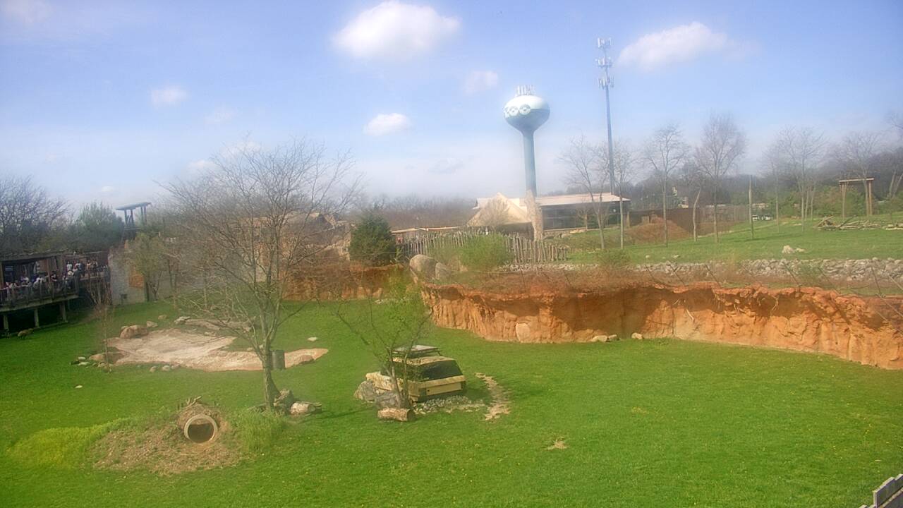 Thumbnail for current weather camera view from Columbus Zoo and Aquarium in Powell, Ohio